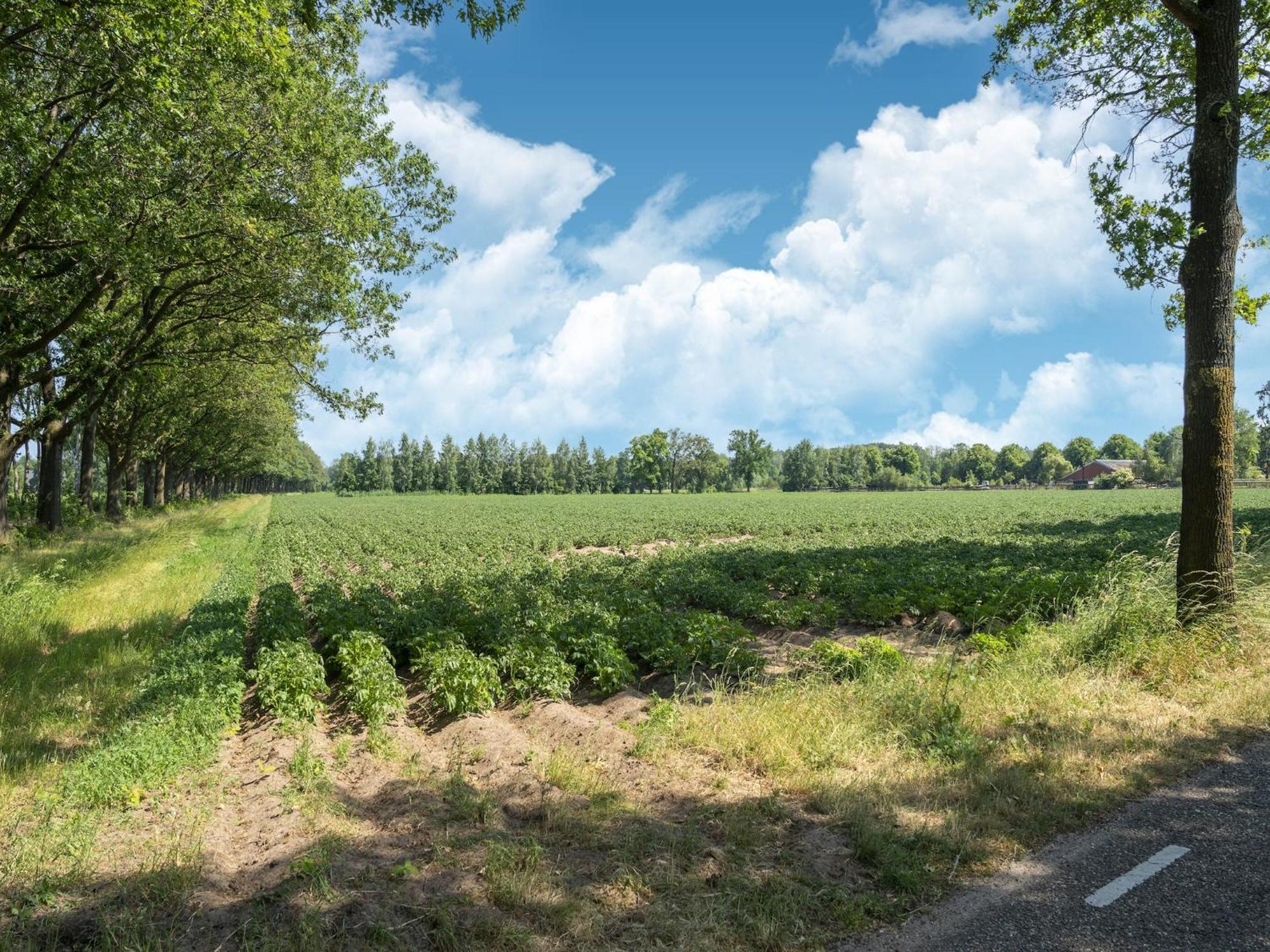 House With A Large Garden In Achterhoek Eibergen Экстерьер фото